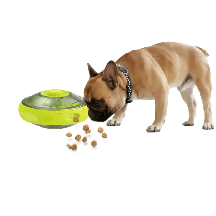 AFP Pet Mind Stimulating Food Game UFO Durable Interactive Treat Dispenser  Puzzle Maze Enrichment Wobble Toy For Dogs - Buy AFP Pet Mind Stimulating  Food Game UFO Durable Interactive Treat Dispenser Puzzle