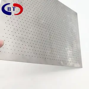 Aço inoxidável 304 Micron Punching Hole Perfurado Metal Mesh Filtros