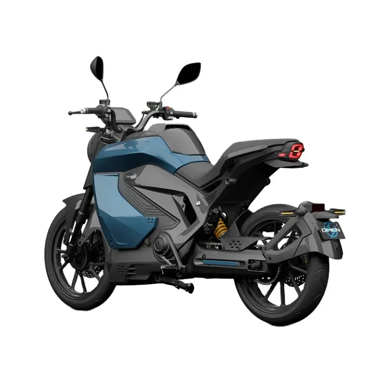 2024 Elektro-Motorrad 15000 W für Erwachsene 260 Nm 110 KM/Std. Enduro E-Bike Elektro-Dirtbike