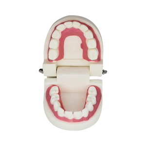 Dental preparation practice model, interdental <b>gap</b> model, tooth preparation model, teaching implant model, denture props - Product Image 1