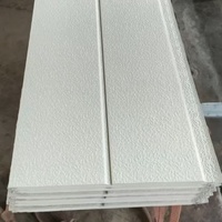 Panel Sándwich para Techo y Pared Interior con Aislamiento EPS