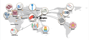 थोक सिलिकॉन कुत्ते प्रशिक्षण उपकरण पकड़ के साथ आसान और भंडारण प्रशिक्षण शैक्षिक कुत्ते के लिए हानिरहित पालतू उपकरण - Product Image 5