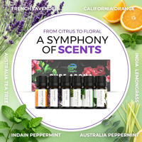 Petit ensemble de flacons d'huile essentielle d'arbre à thé et d'eucalyptus pressée à froid - 100% pure, aromathérapie avec un parfum fruité, sucré et frais