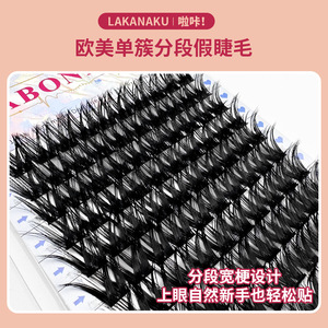 Abonnie <b>Cluster</b> <b>Lashes</b> 10 Rows Double V Shape Handmade False Eyelashes For Professionals - Product Image 3