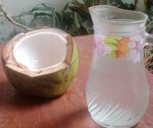 Agua de Coco Fresca de Primera Calidad al Mejor Precio, Pulpa Dulce Natural Pura, para Té de Burbujas y Postres, Grado Sulawesi, 0.2kg - Product Image 5