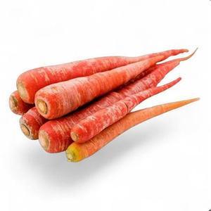 Variété de carottes haute performance conçue pour les cultivateurs commerciaux, avec un taux de germination élevé et un développement radiculaire supérieur - Product Image 4