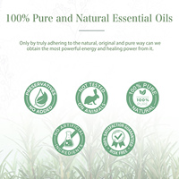 Huile essentielle de romarin, 30ML, 100% naturelle, pour diffuseur d'arôme, vente en gros
