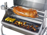 Barbecue portable commercial en acier inoxydable barbecue à gaz cuisine d'extérieur barbecue mini pour poulet rôtissoire à porc et agneau butane gril à gaz