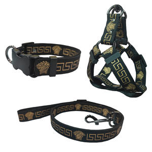Luxuriöses Verstellbares Hundehalsband-Leine-Geschirr-Set aus Polyester für Kleine, Mittlere und Große Hunde mit Knopfverschluss im Modischen Stil - Product Image 1