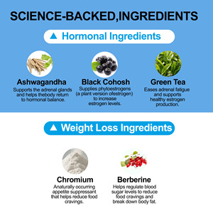 Factory Wholesales Menopause <b>Supplement</b> Capsules Support Glucose Health Weight Management Capsules with Gynostemma Leaf Extract - Product Image 5