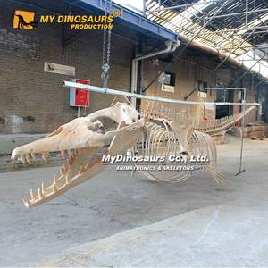 MY DINO AS-049 Squelette d'oiseau <span class=keywords><strong>Dodo</strong></span> Animal préhistorique éducatif - Product Image 5