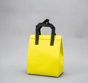 Túi Cách Nhiệt Có Thể Tái Sử Dụng Khuyến Mại Logo Tùy Chỉnh Túi Làm Mát Ăn Trưa Cách Nhiệt Bằng Vải Không Dệt Bán Sỉ Cho Thực Phẩm - Product Image 2