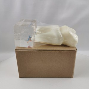 Modèle de nerf dentaire M7023 en résine, modèle anatomique pathologique pour l'enseignement des sciences médicales - Product Image 3