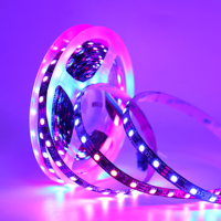 Bande lumineuse de contrôleur d'application à distance Full Color Running Individuellement Adressable Led Strip Magic 30 60LED/M pour la décoration