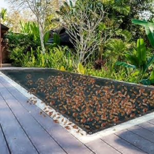 Cubierta de red para hojas de piscina de primera calidad, 20'x30', malla ultrafina para prevenir la presencia de hojas y basura en piscinas (Bloquea el 99% de los residuos) - Product Image 6