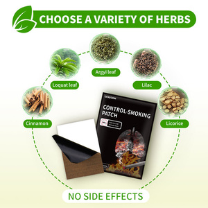 効果的な抗スティック禁煙パッチ使いやすい口鼻と体のための不安解消パッチはあなたが禁煙するのを助けます - Product Image 4