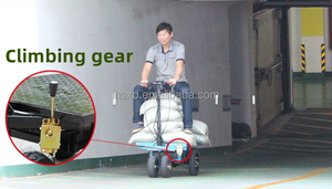 Chariot à plateau électrique pour le transport <span class=keywords><strong>de</strong></span> charges sur chantier, chariot <span class=keywords><strong>de</strong></span> chantier, chariot <span class=keywords><strong>de</strong></span> transport, chariot <span class=keywords><strong>de</strong></span> montée - Product Image 4