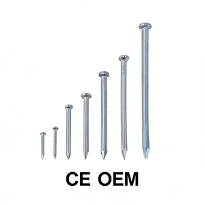 Clous en acier galvanisé pour la construction avec certification CE et service OEM pour le béton et la maçonnerie - Product Image 1