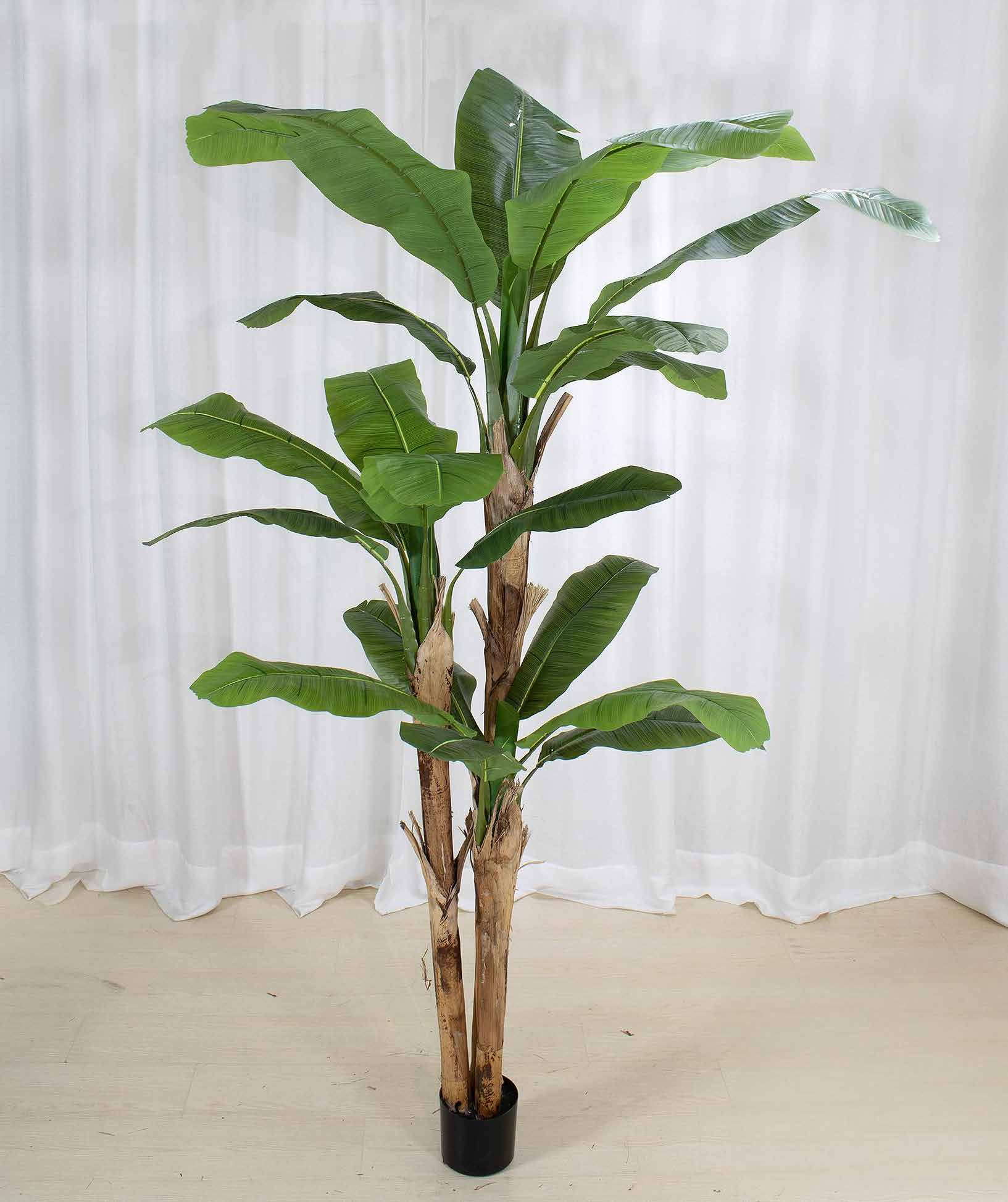 250 cm(98.43in)