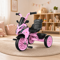 Sepeda Roda Tiga Anak Balita Sepeda Motor Roda 3 Anak-anak Sepeda Roda Tiga Bayi dengan Keranjang Belakang