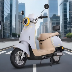 Moto électrique tout-terrain pour adultes 800W 48V avec batterie au plomb-acide, marque TF, 40-60 <span class=keywords><strong>km</strong></span>/h, puissante et pleine de joie, vente en gros d'usine - Product Image 3