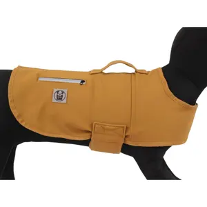 Windproof and suitable for dogs in all seasons