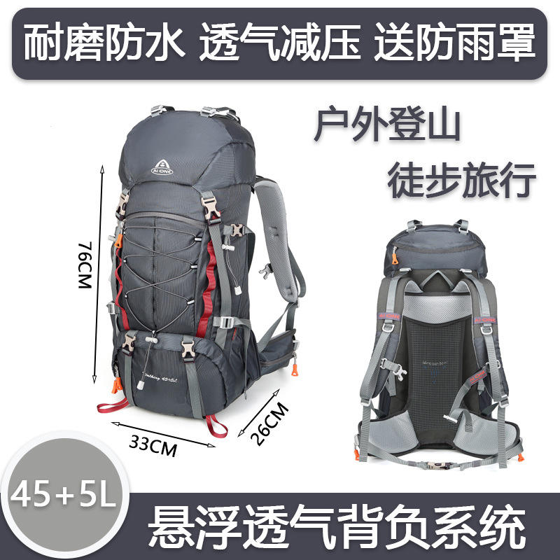 Housse de pluie avancée pour système piggyback gris - 50l