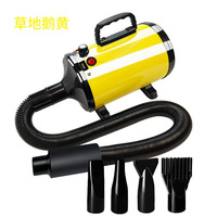 Sèche-cheveux professionnel puissant et écologique pour animaux de compagnie, souffleur d'eau pour chiens, vent chaud, séchage rapide, rechargeable, pour toilettage des animaux