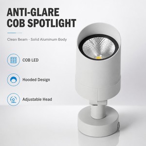 Projecteur LED COB basse tension OEM DC24V haute efficacité 110lm/W IP65 pour éclairage extérieur de villas, immeubles commerciaux et promoteurs immobiliers - Product Image 2