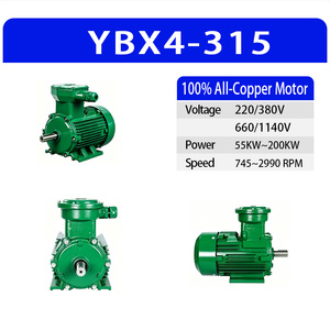 มอเตอร์สามเฟส YBX4-315 แรงดันคู่ 380V/660V 2/4/6/8 โพล 55-200 กิโลวัตต์ กำลังสูง แรงดันกว้าง ใช้งานได้เสถียร สำหรับอุตสาหกรรมหนัก - Product Image 4