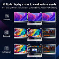 Nouvel écran portable pour PC/ordinateur portable de jeu de 15,6 pouces Full HD 1920x1080 IPS LCD LED, double/triple écran, type C