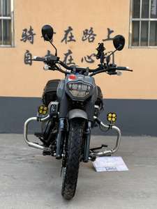Motocicleta Lifan V16S Cruiser |   Motor V-Twin <span class=keywords><strong>de</strong></span> 250cc y 14.5kW <span class=keywords><strong>de</strong></span> Potencia con ABS - Product Image 5