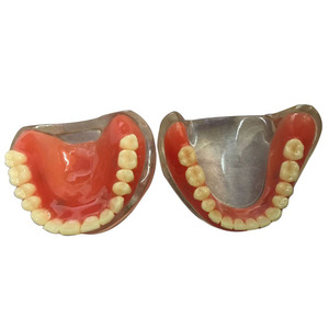 Modèle de dents d'implant de prothèse dentaire complète de la science médicale pour l'étude et l'enseignement - Product Image 3
