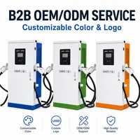 Station de recharge rapide DC intégrée CE ISO9001 pour véhicules électriques 60-240kW Double connecteur OCPP 1.6J IP54 OEM ODM Usine certifiée State Grid