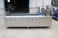 Commerciële Automatische Fruit-En Groenteborstel En Wasverwerkingsproductielijn