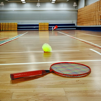 Raquette de badminton légère en graphite avec cadre en acier et poignée en PU Options souples Équipement de sport pour les enfants du primaire