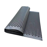 Feuille de drainage en PEHD à alvéoles pour drainage de sous-sol, matériau d'étanchéité pour décharges et villas