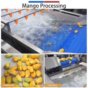 เครื่องทำน้ำมะม่วงเชิงพาณิชย์ เครื่องบดเนื้อมะม่วง สายการผลิตน้ำมะม่วง - Product Image 3