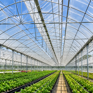 Skyplant Professional Nursery PE Film Multi-Span Agricultural Greenhouse Ventilation System for Seedling Propagation Plant - Product Image 5