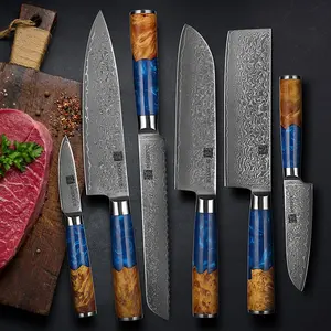 Set di coltelli da cucina damast 6 pezzi in resina blu di alta qualità, set di coltelli damasco chef in resina con 67 strati di acciaio