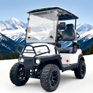Carrito de Golf Eléctrico Elevado para Zonas Costeras con Capacidad para Más de 8 Personas, Batería de Litio, 30-50 km/h, Resistente a la Corrosión, Ideal para Villas Costeras y Viajes a la Playa - Product Image 1