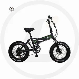 20 Inch Opvouwbare Elektrische Cyclus Electrica Met 250W Hoge Snelheid Motor Achtermotor Verborgen Batterij Fiets Elektrische Fat Bike