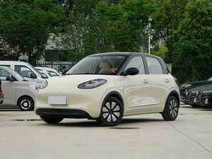 Wuling Bingo 2025 333KM Joy Edition 708 EV, ideale per gli spostamenti quotidiani in città e per i viaggi familiari a breve distanza. - Product Image 1