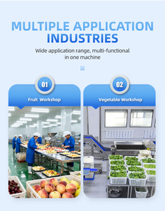 Machine de lavage alimentaire à l'ozone intégrée haut de gamme pour prunes, piments, haricots, fleurs comestibles – Équipement de production de précision à haut rendement - Product Image 2