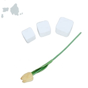 Best Price Double Scrub Square Cream Bottle 5g to 50g PP <b>Plastic</b> Cosmetic Packaging Quality <b>Plastic</b> <b>Jars</b> - Product Image 6