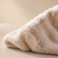 Lit pour chat en forme d'ours, esthétique moderne, toutes saisons, chaud et doux, canapé-lit pour animaux de compagnie, nid de luxe en peluche pour chien, literie pour animaux de compagnie en gros