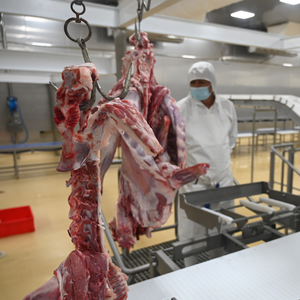 Ligne d'abattage de moutons et de chèvres entièrement automatique à haute sécurité, solution d'abattoir clé en main - Product Image 3