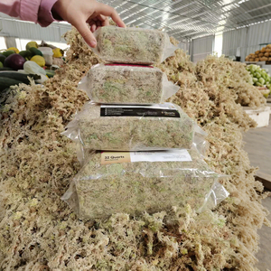 Musgo Sphagnum Ecológico <span class=keywords><strong>de</strong></span> Lujo Moderno para Decoración <span class=keywords><strong>de</strong></span> Bodas, Paredes Florales, Centros <span class=keywords><strong>de</strong></span> Mesa y Eventos al Aire Libre - Product Image 6