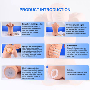 Mannequin d'entraînement ADA pour ponction thoracique et abdominale, modèle anatomique de sciences médicales, mobilité abdominale, Turbid - Product Image 5
