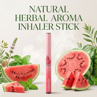 Stylo Inhalateur d'Aromathérapie Naturelle aux Herbes en Gros – Bâtonnet Parfumé Frais pour la Relaxation et le Bien-être Quotidien – Format de Poche – Fabrication OEM ODM